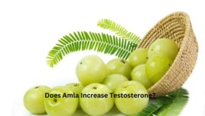 Read more about the article Does Amla Increase Testosterone?
