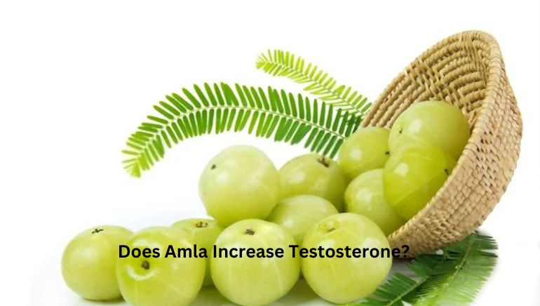 You are currently viewing Does Amla Increase Testosterone?