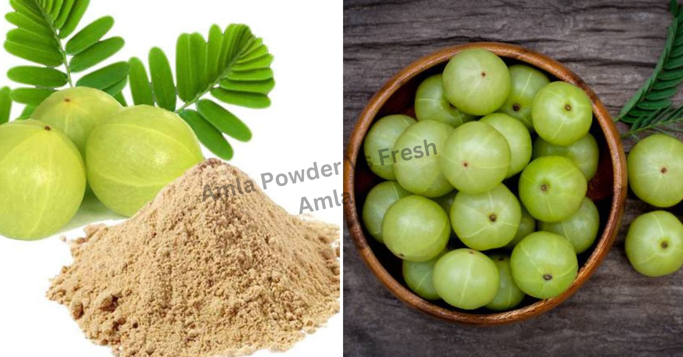 You are currently viewing Is Amla Powder As Good As Fresh Amla