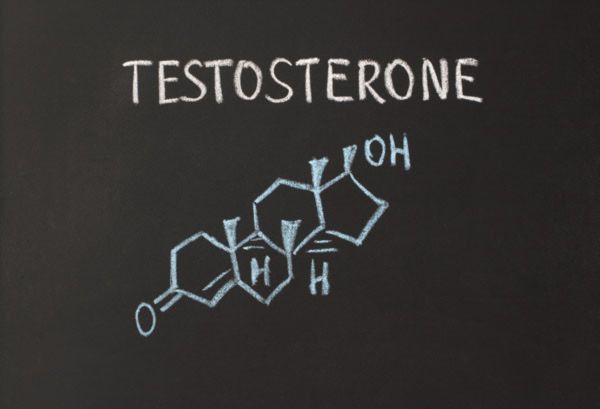 You are currently viewing Does Testosterone Increase Height