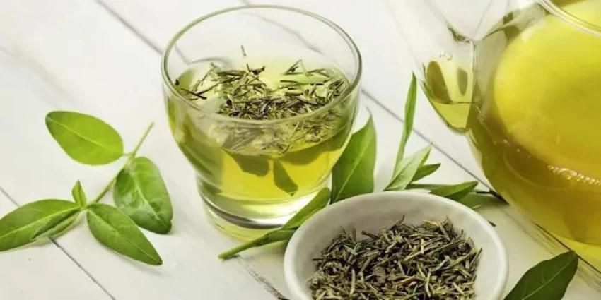 Read more about the article Are Green Tea Leaves Edible