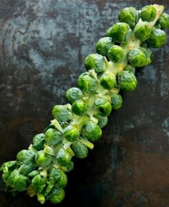 Long-stemmed Brussels Sprouts
